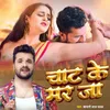 About Chaat Ke Mar Ja Song